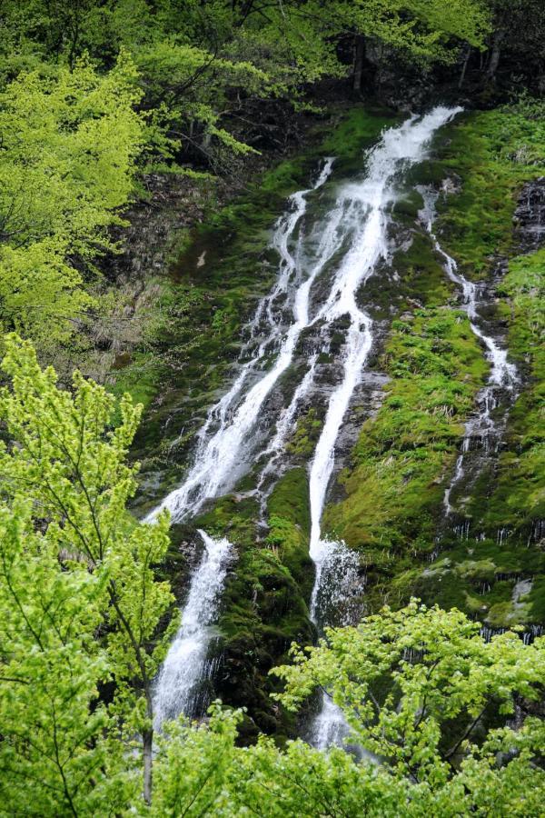Gorska Hiska Vogar Nad Bohinjskim Jezerom Ngoại thất bức ảnh